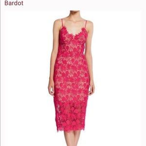 Bardot Tayla Lace Scalloped Midi Dress